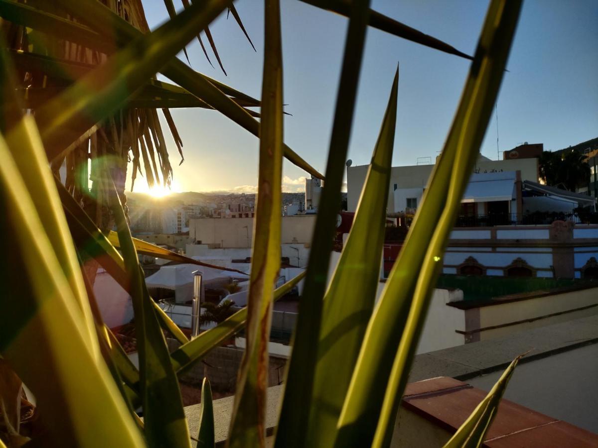 Terraza Del Atlantico, Un Oasis En La Ciudad Apartment ซานตาครูซ เด เตเนริเฟ ภายนอก รูปภาพ